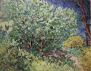 Vincent Van Gogh The Bush oil painting on canvas